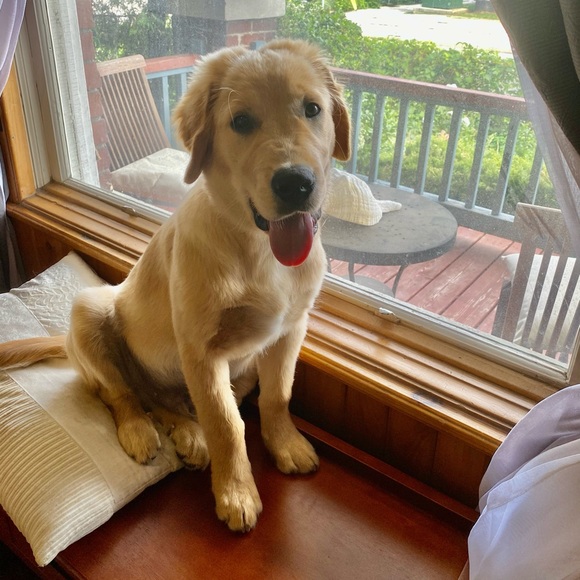 Meet your Posher, Kate - Picture 5 of 17